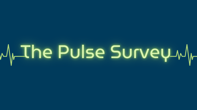 Sut rydym yn defnyddio'r Arolwg Pulse